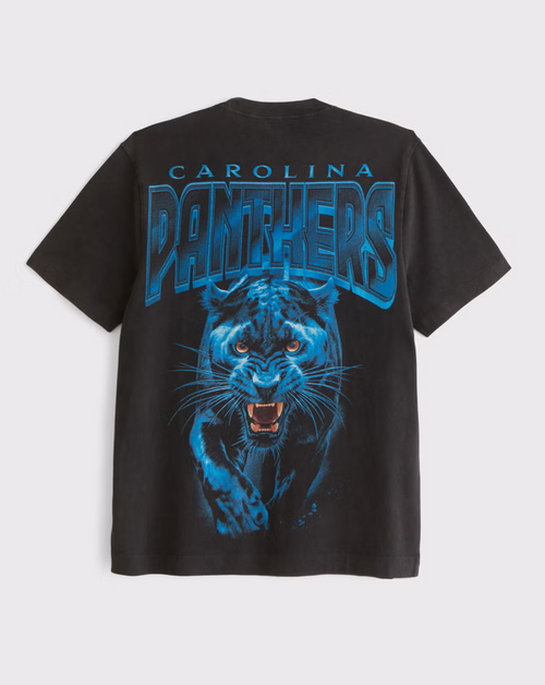 Carolina Panthers Graphic Tee - Vintage NFL Fan Shirt